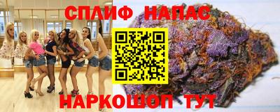 спиды Дубна